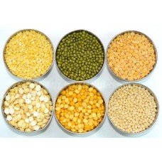 jowar